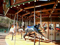 a carousel with animals on it