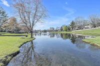 a pond surrounded by grass and trees